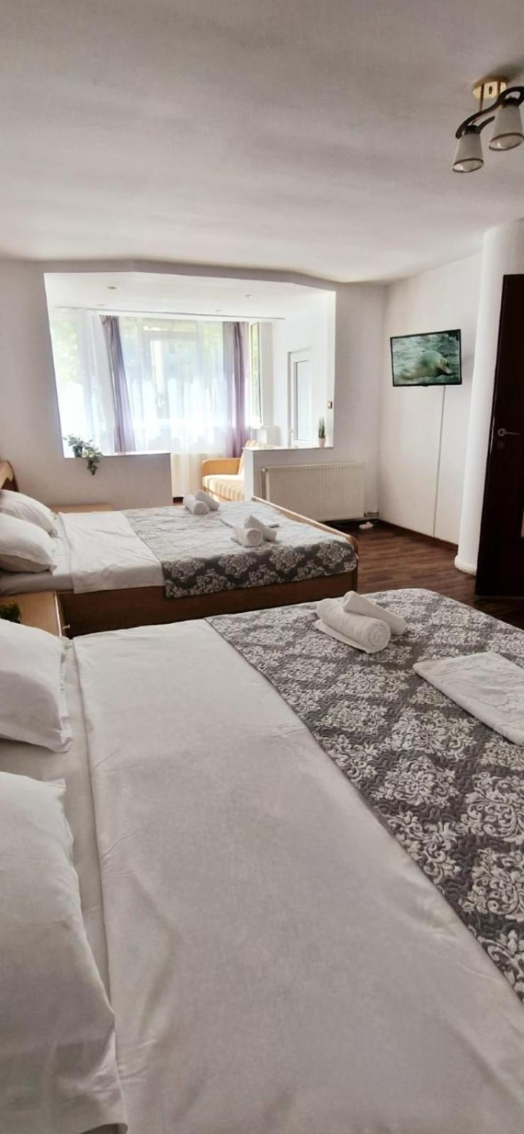 Stephanie Apartment-Centru Civic Brašov Exteriér fotografie