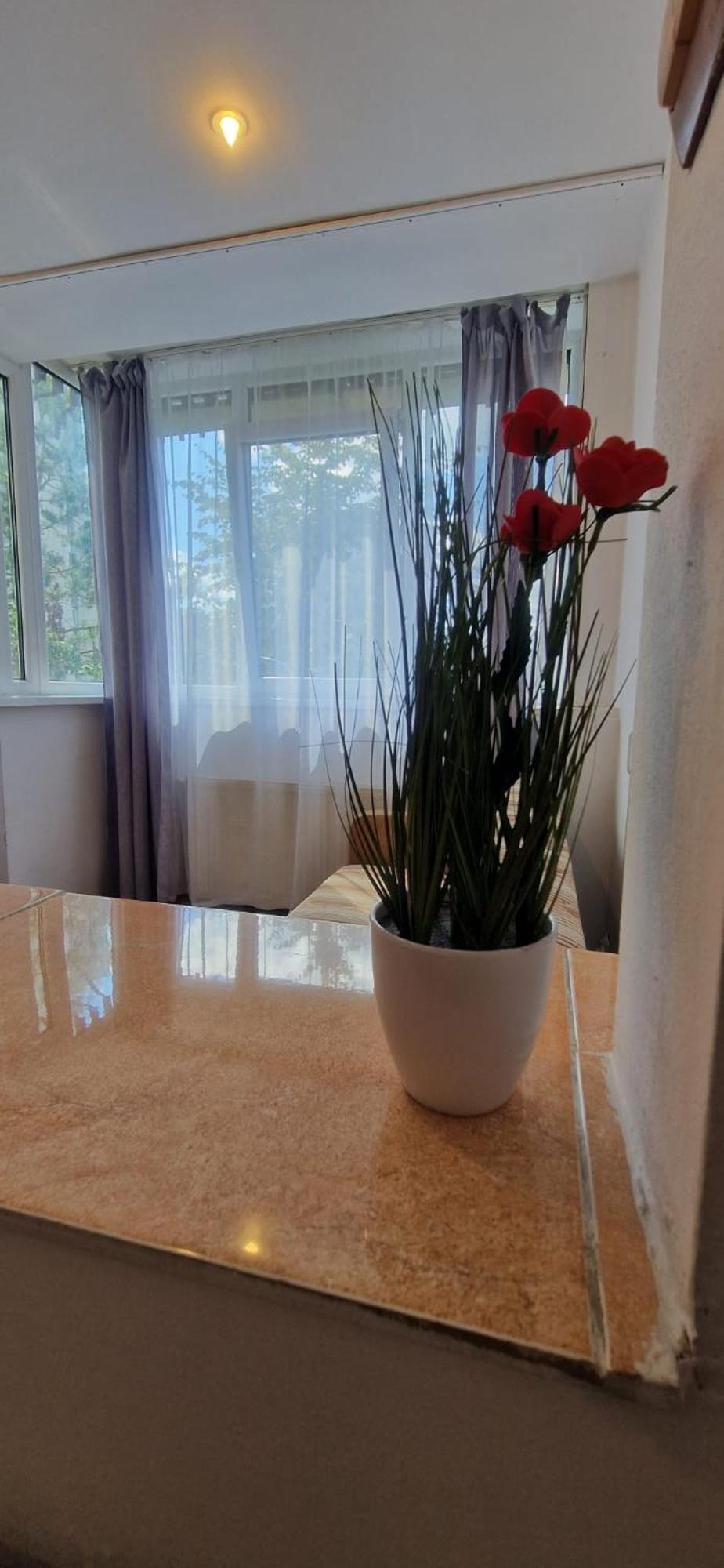 Stephanie Apartment-Centru Civic Brašov Exteriér fotografie